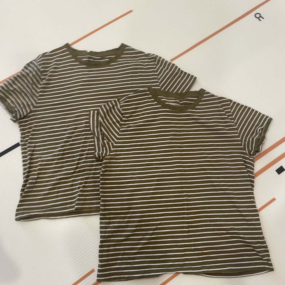 Everlane organic cotton T-shirt bundle
